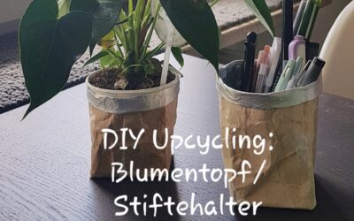 DIY Upcycling: Behälter aus Tetra-Packs